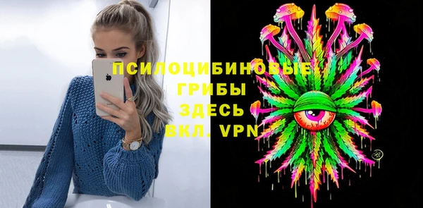 apvp Балахна