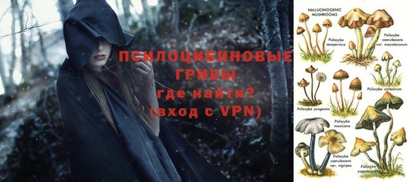 apvp Балахна