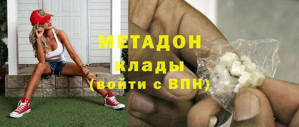 сатива Беломорск