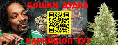 индика Волжск