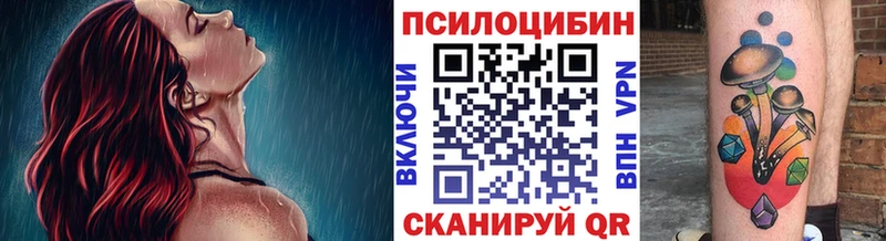 Псилоцибиновые грибы мицелий  Обь 