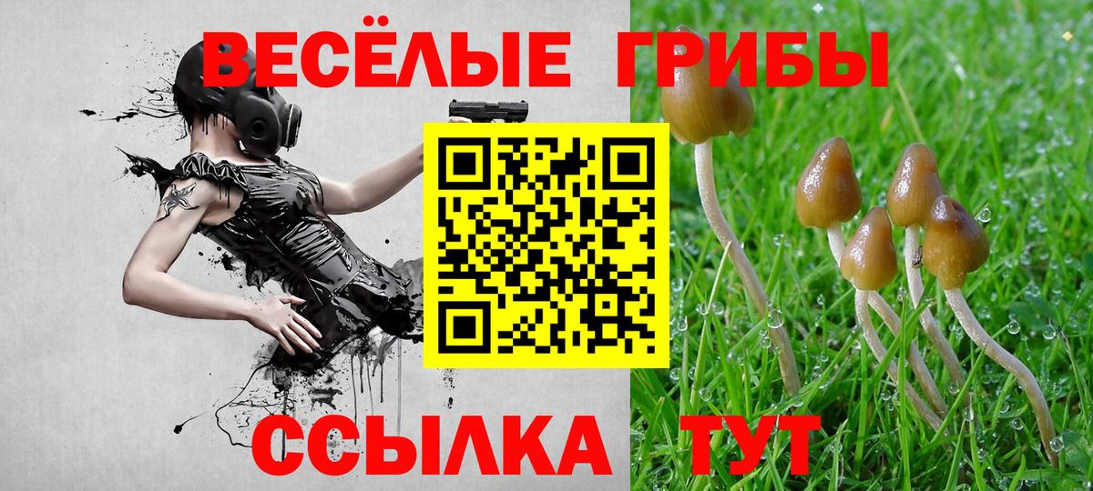 Обь  Галлюциногенные грибы мицелий  Галлюциногенные грибы прущие грибы  Вход с VPN 