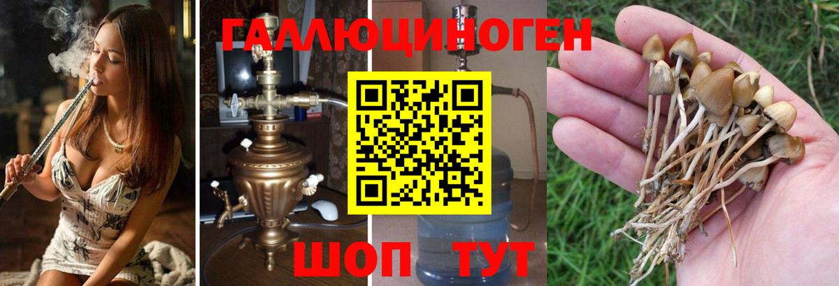 Псилоцибиновые грибы MAGIC MUSHROOMS Обь